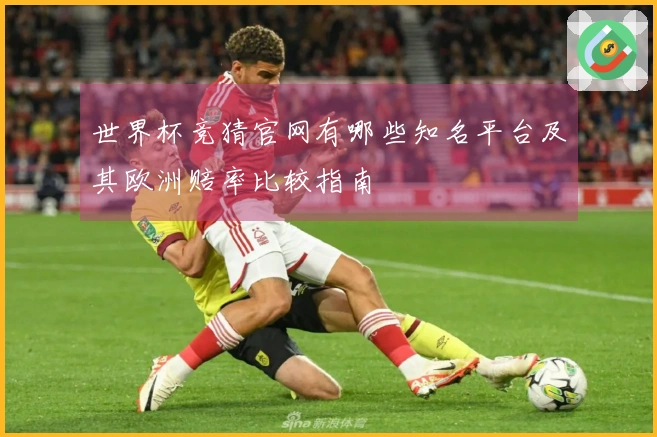 世界杯竞猜官网有哪些知名平台及其欧洲赔率比较指南