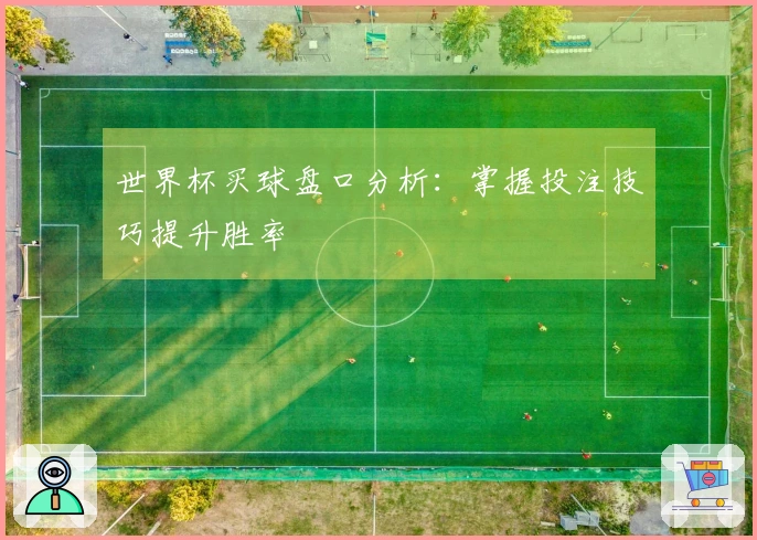 世界杯买球盘口分析：掌握投注技巧提升胜率