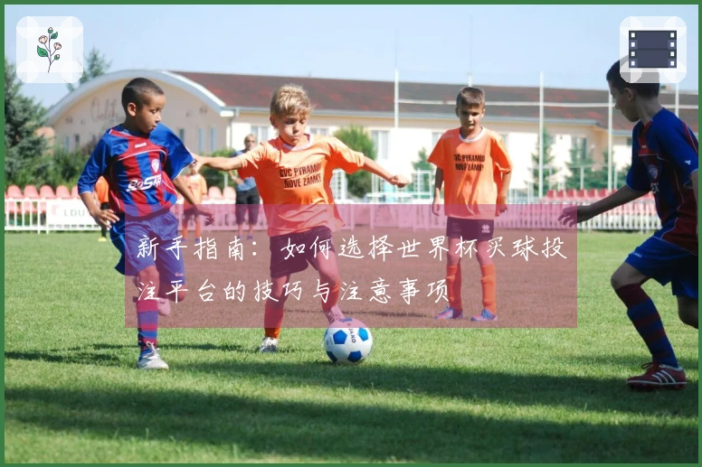 新手指南：如何选择世界杯买球投注平台的技巧与注意事项