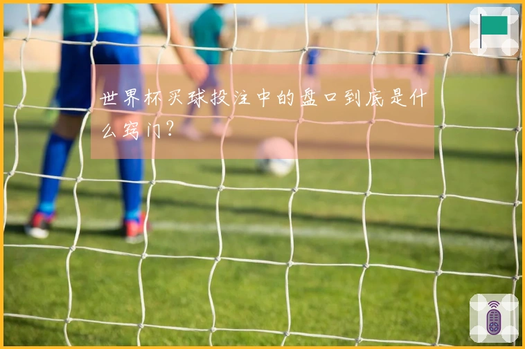 世界杯买球投注中的盘口到底是什么窍门?