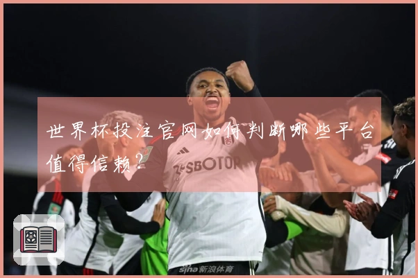世界杯投注官网如何判断哪些平台值得信赖？