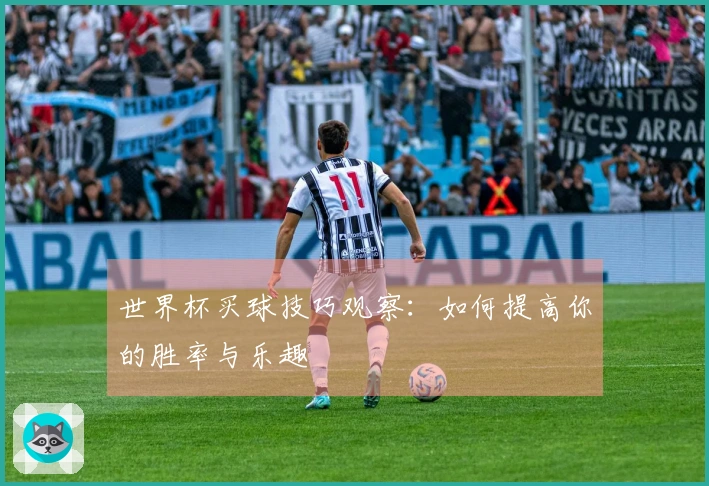 世界杯买球技巧观察：如何提高你的胜率与乐趣