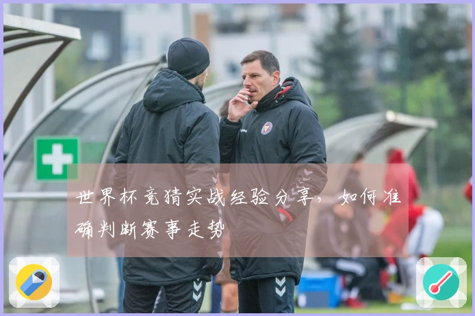 世界杯竞猜实战经验分享，如何准确判断赛事走势